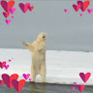 Meet your Posher, Lorenza